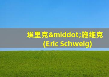 埃里克·施维克(Eric Schweig)